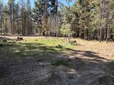 51377 Mitchell Rd - Photo 5