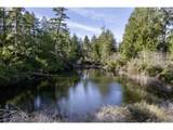 89952 Highway 101 - Photo 39