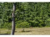 17340 Woodland Loop Rd - Photo 45