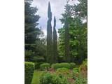 2770 Roberts Ln - Photo 42