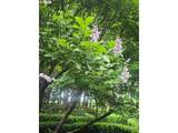 2770 Roberts Ln - Photo 43