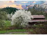 13756 Buckhorn Rd - Photo 2