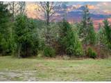 13756 Buckhorn Rd - Photo 3