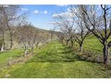 3465 Three Mile Rd - Photo 18