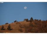 3465 Three Mile Rd - Photo 38