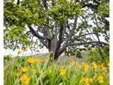3465 Three Mile Rd - Photo 41