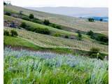 3465 Three Mile Rd - Photo 46