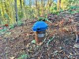  Alder Branch Rd - Photo 14