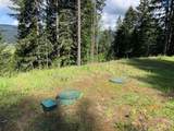  Alder Branch Rd - Photo 17