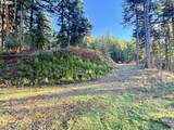  Alder Branch Rd - Photo 6