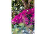 1018 21ST Ave - Photo 32