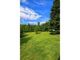 18525 Buncombe Hollow Rd - Photo 30