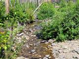  Blue River Rd - Photo 2