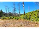  Blue River Rd - Photo 26