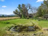 48212 Clear Creek Rd - Photo 39