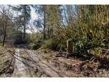 71909 Apiary Rd - Photo 3