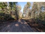 71909 Apiary Rd - Photo 4