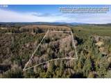 71909 Apiary Rd - Photo 5