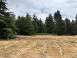 00 Highway 42S - Photo 6
