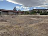 1505 Fish Camp Rd - Photo 4