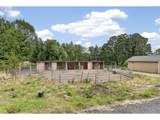 38325 Scravel Hill Rd - Photo 30