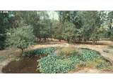 38325 Scravel Hill Rd - Photo 36