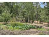 38325 Scravel Hill Rd - Photo 44