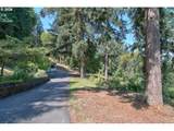 16832 Stone Hill Dr - Photo 46