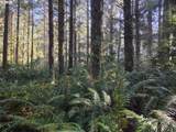  Greggs Creek Rd - Photo 10
