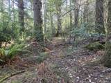  Greggs Creek Rd - Photo 13