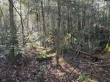  Greggs Creek Rd - Photo 15