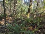  Greggs Creek Rd - Photo 16