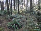  Greggs Creek Rd - Photo 19
