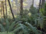  Greggs Creek Rd - Photo 20