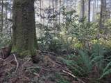  Greggs Creek Rd - Photo 21
