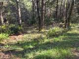  Greggs Creek Rd - Photo 25