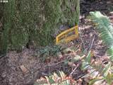  Greggs Creek Rd - Photo 26