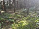  Greggs Creek Rd - Photo 32