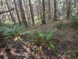  Greggs Creek Rd - Photo 34