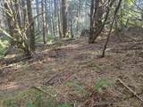  Greggs Creek Rd - Photo 35