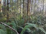  Greggs Creek Rd - Photo 37