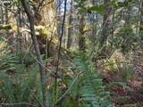  Greggs Creek Rd - Photo 38