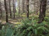  Greggs Creek Rd - Photo 39
