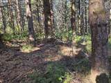  Greggs Creek Rd - Photo 40