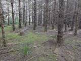  Greggs Creek Rd - Photo 42