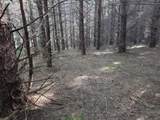  Greggs Creek Rd - Photo 43