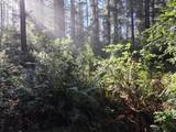  Greggs Creek Rd - Photo 7