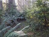  Greggs Creek Rd - Photo 8