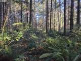  Greggs Creek Rd - Photo 9