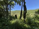  Sweet Creek Road - Photo 10
